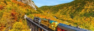 train in the mountains in autumn foliage